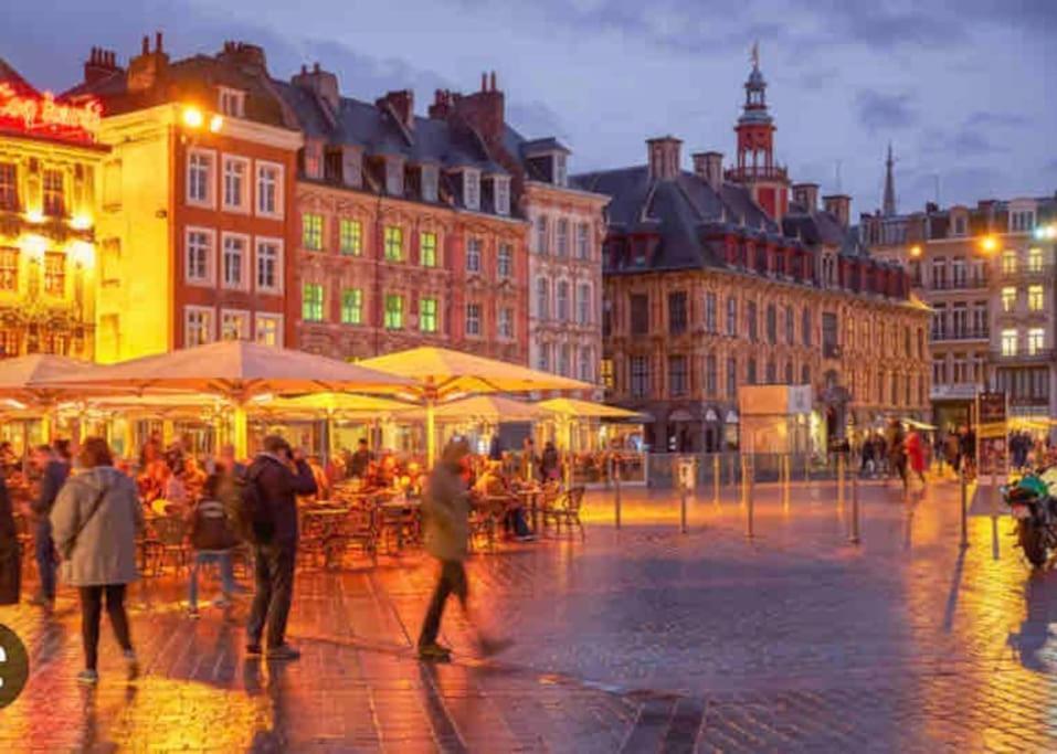 Appartement F3 & Solferino Lille Ngoại thất bức ảnh