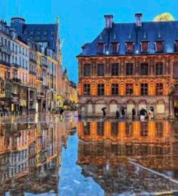 Appartement F3 & Solferino Lille Ngoại thất bức ảnh